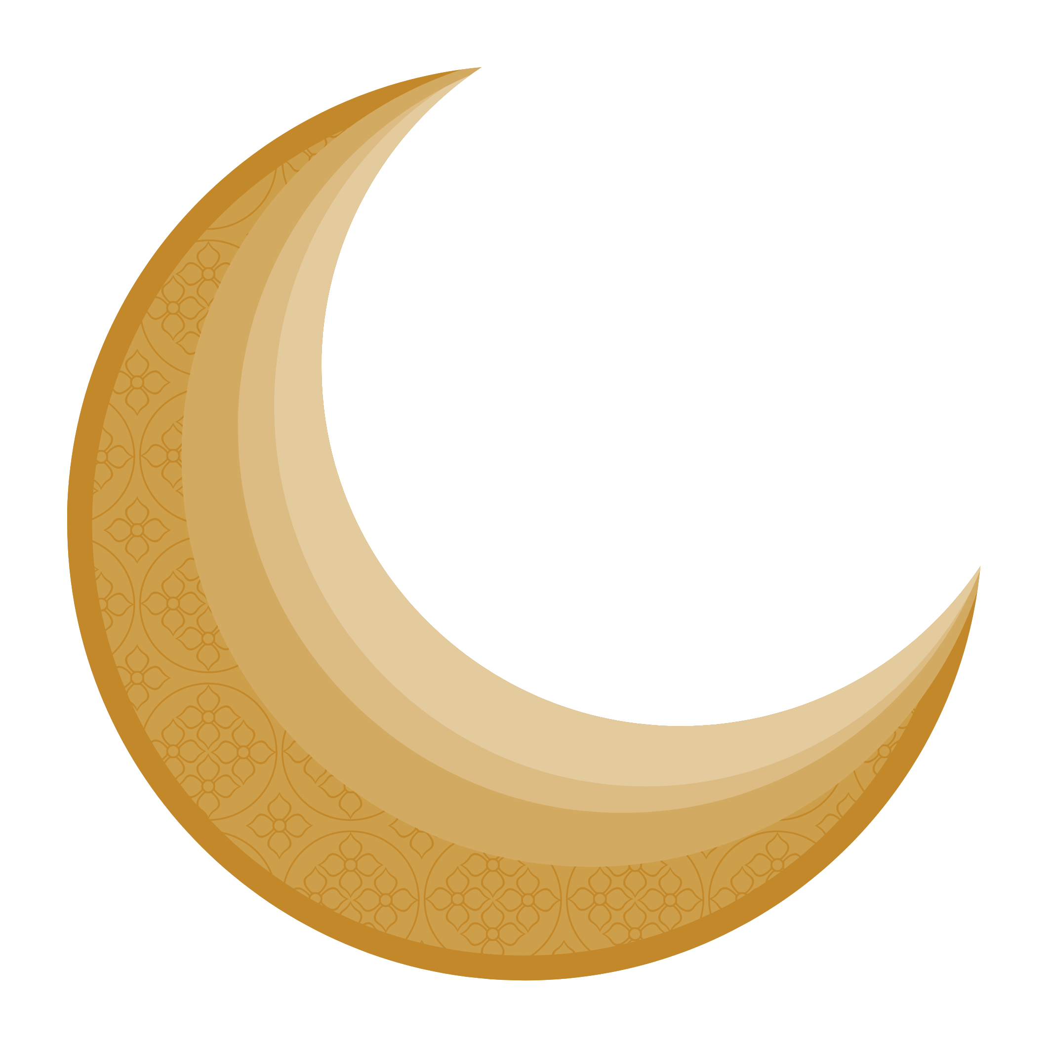 Home Icon